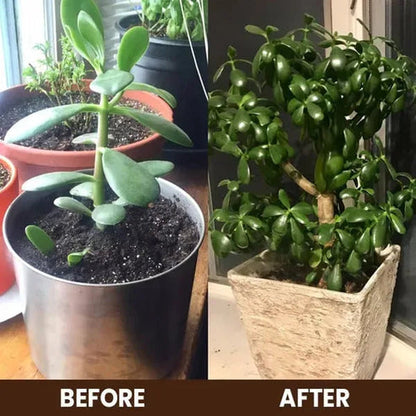 Soil Repair Formula – Grow Healthier Stronger Plants In 7 Days ( BUY 1 GET 1 FREE )